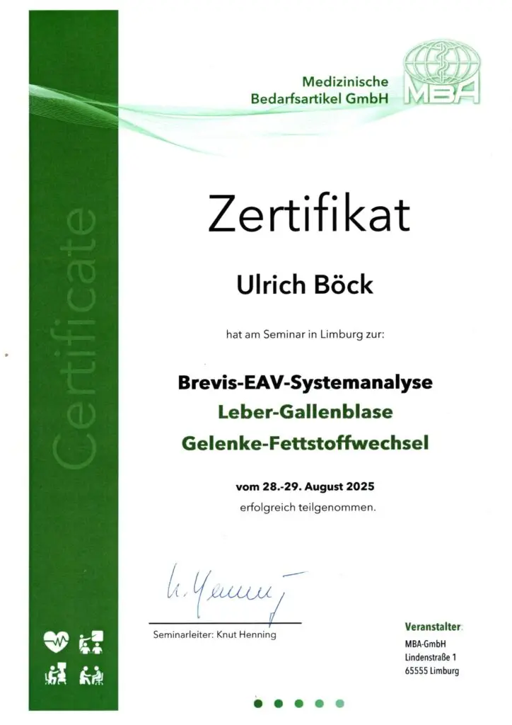 Zertifikat EAV BREVIS Systemanalyse Grüner Ball