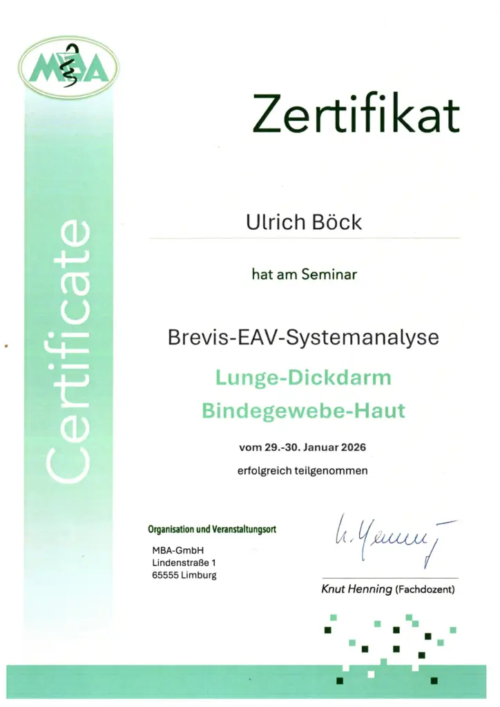 Zertifikat EAV BREVIS Systemanalyse Lunge-Dickdarm / Bindegewebe-Haut