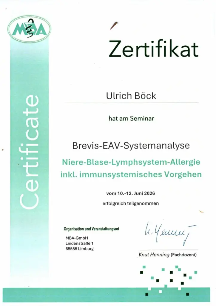 Zertifikat BREVIS-Blauer-Ball-Niere-Blase-Allergie-Lymphe